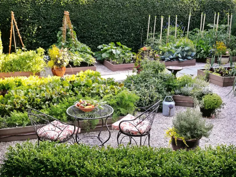 10 Verdure Perfette per Orti Rialzati: Coltiva con Successo!