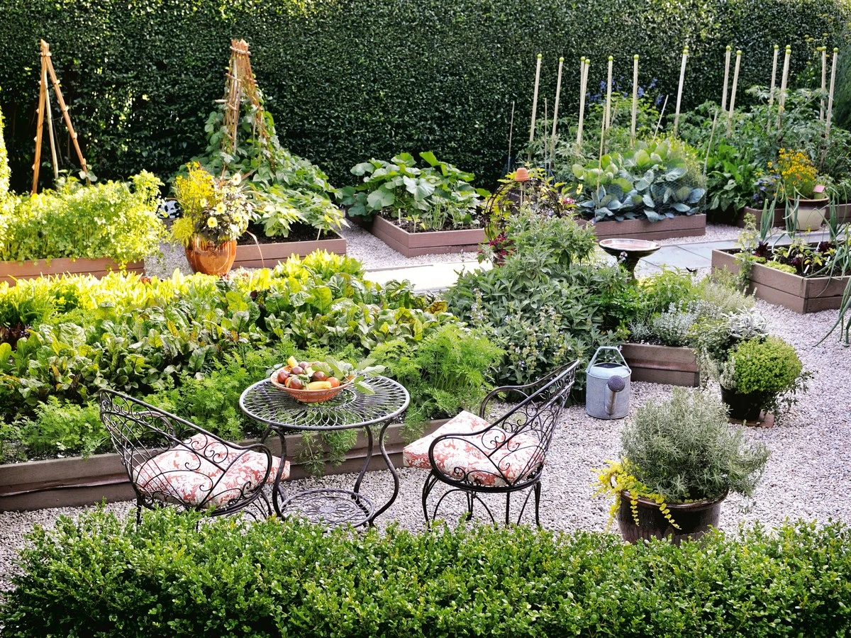 10 Verdure Perfette per Orti Rialzati: Coltiva con Successo!
