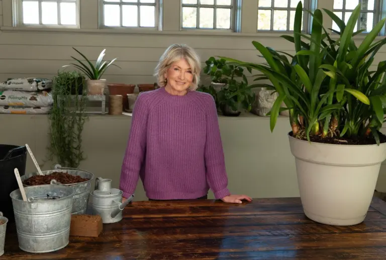 5 consigli di Martha Stewart per un orto pronto a fiorire alla fine dell'inverno