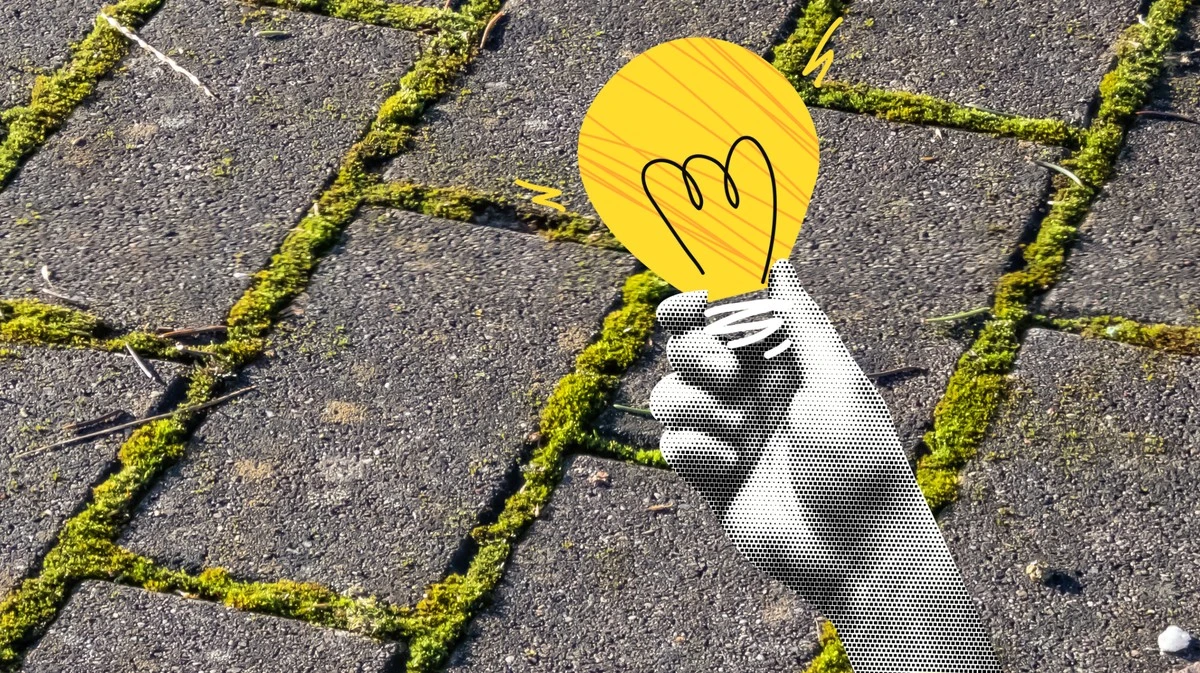 Elimina il muschio dalle fughe: questa bevanda miracolosa è il mio segreto