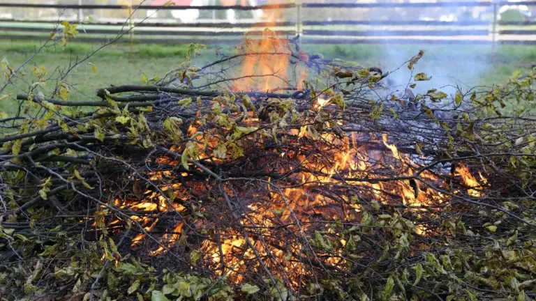 Foglie e ramaglie in fiamme: la guida alle regole in Sassonia-Anhalt