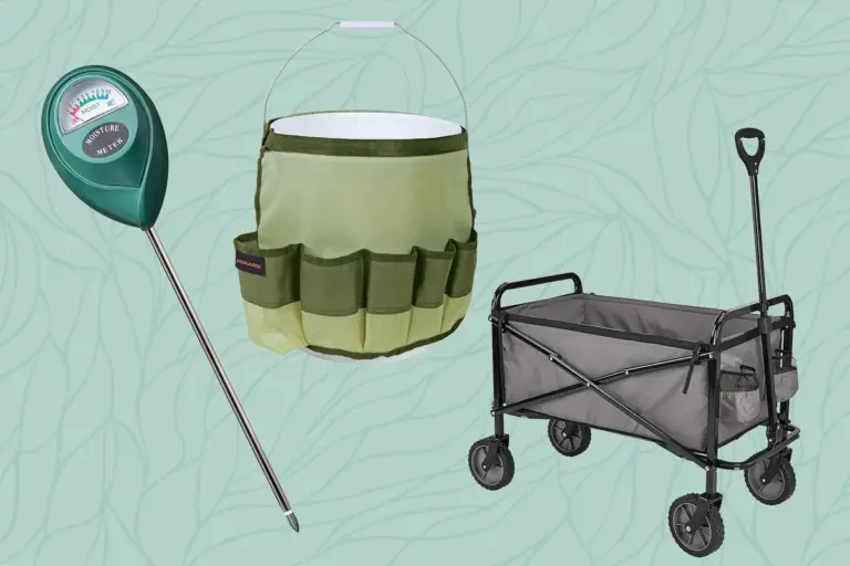 Giardinaggio facile: 5 strumenti da Amazon che ti faranno risparmiare tempo prezioso
