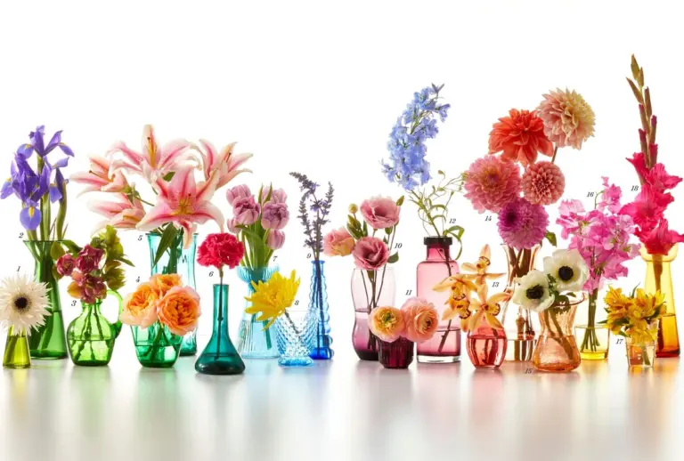 Il tuo bouquet di San Valentino: cosa dicono davvero i fiori