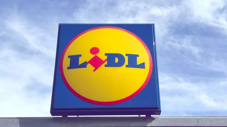 La poltrona Lidl che trasforma il soggiorno in un nido di lusso