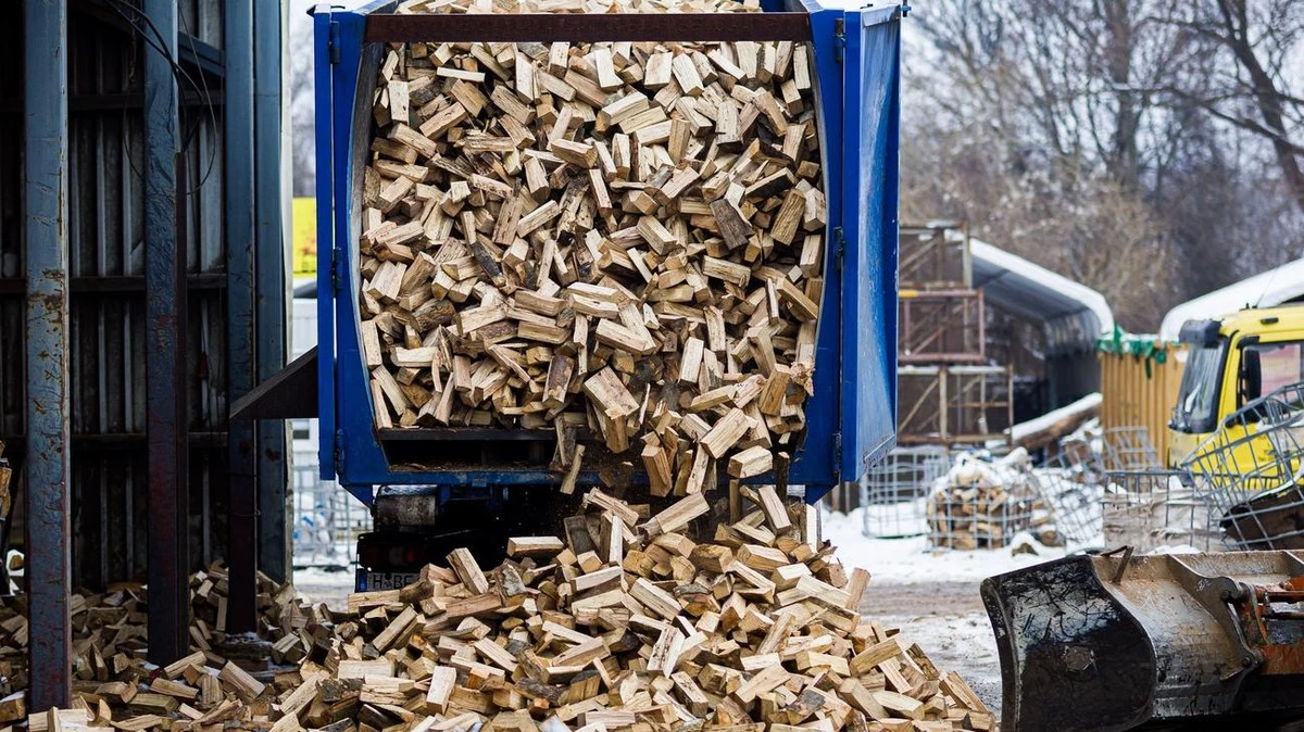 Legna da ardere scarseggia per il freddo? Cosa devono sapere i consumatori ora