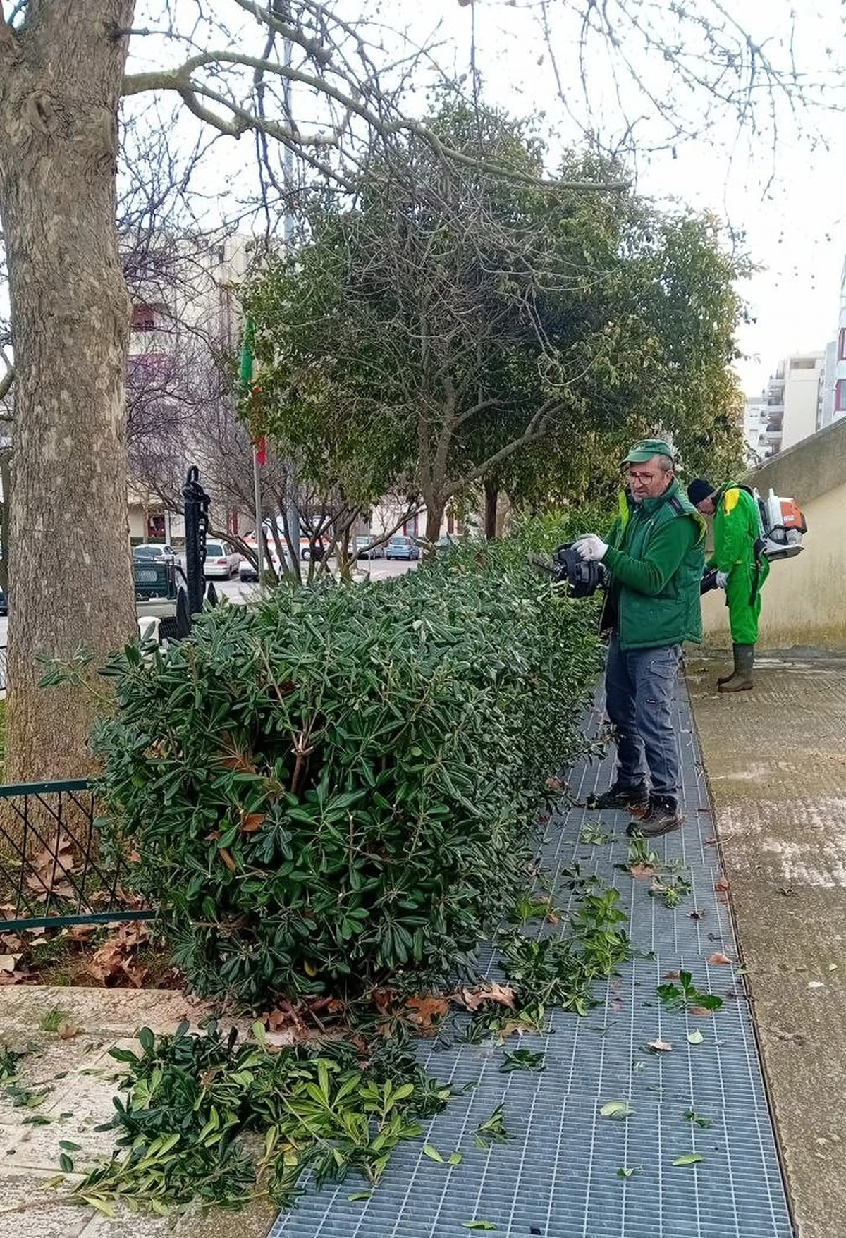 Martina Franca: il segreto delle aree verdi che pochi notano