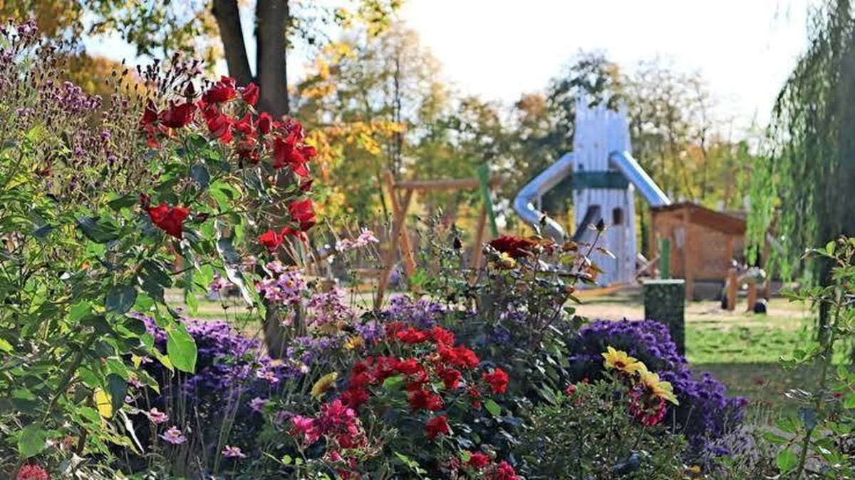 Orto in città: Beelitz offre lotti per giardinieri amatoriali nel parco – ecco le condizioni