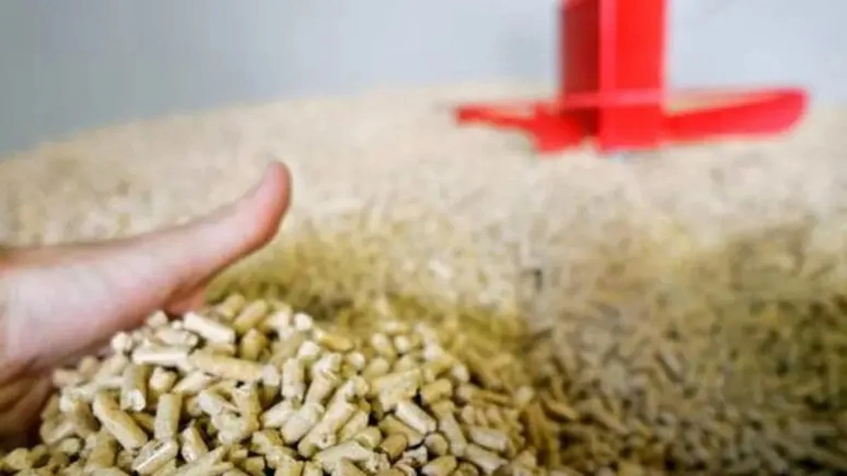 Pellet in Sardegna: prezzi alle stelle e ritrovata una soluzione inaspettata