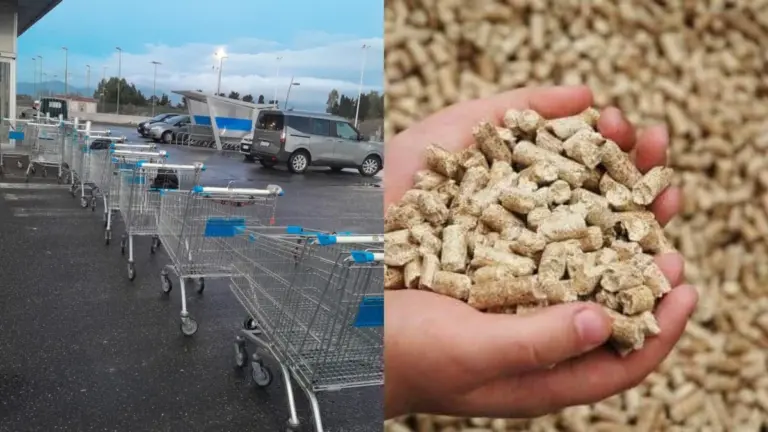 Pellet: la caccia al tesoro è iniziata, cosa fare se non lo trovi