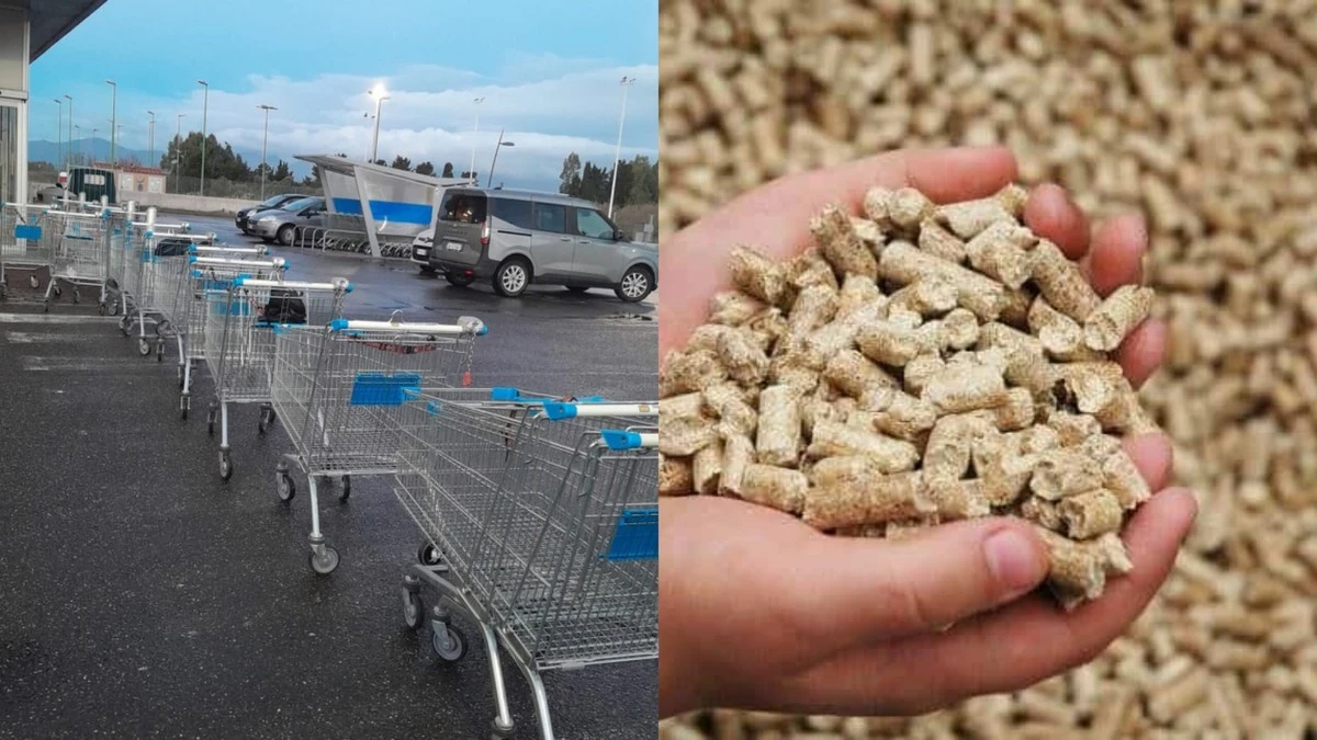 Pellet: la caccia al tesoro è iniziata, cosa fare se non lo trovi