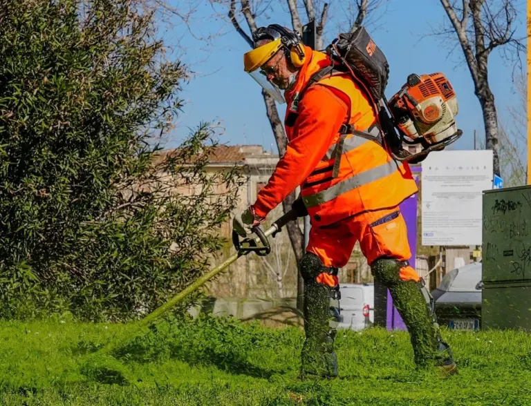 Prato, l'erba cresce a vista: ecco quando arriva il primo taglio