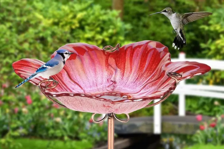 Quest'uccelliera in vetro su Amazon sembra un fiore gigante
