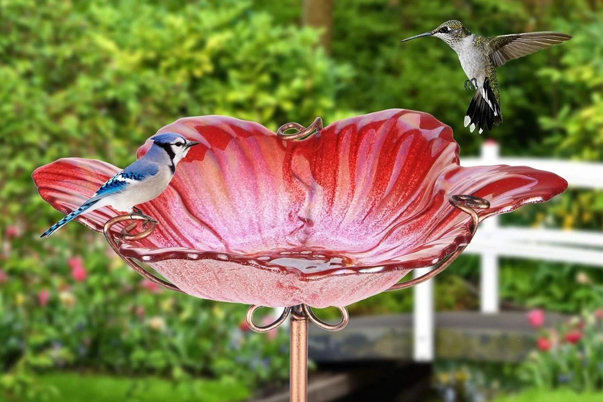 Quest'uccelliera in vetro su Amazon sembra un fiore gigante