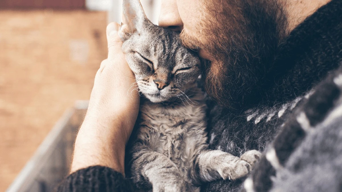 10 segni che la tua gatta ti sta dicendo "ti amo"