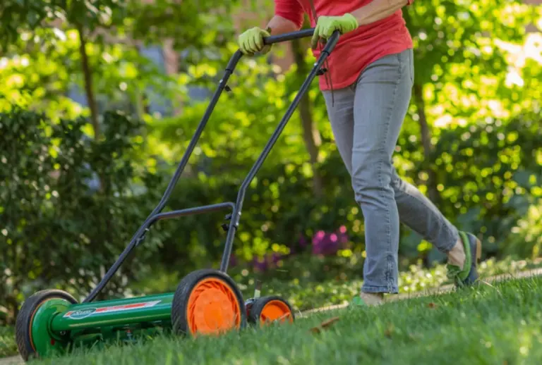 7 Semplici Trucchi di Paesaggistica per Tagliare l'Erba con Molta Più Facilità