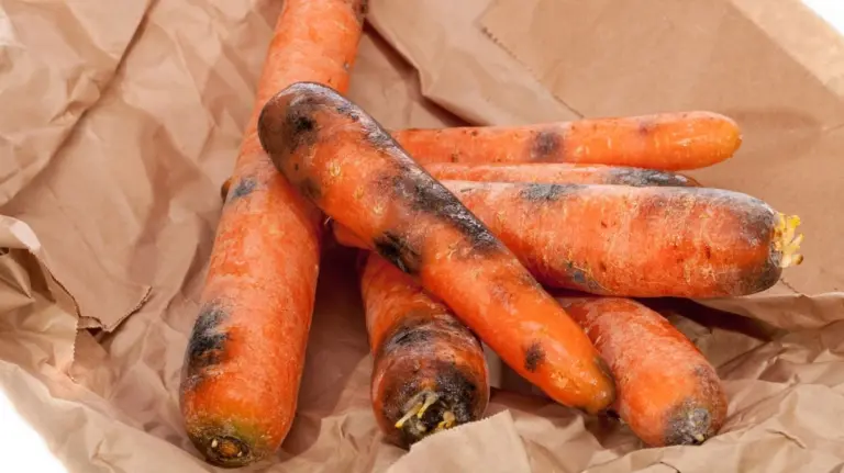 Carote con macchie nere: si possono ancora mangiare o sono un pericolo?