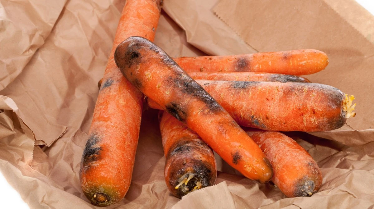 Carote con macchie nere: si possono ancora mangiare o sono un pericolo?
