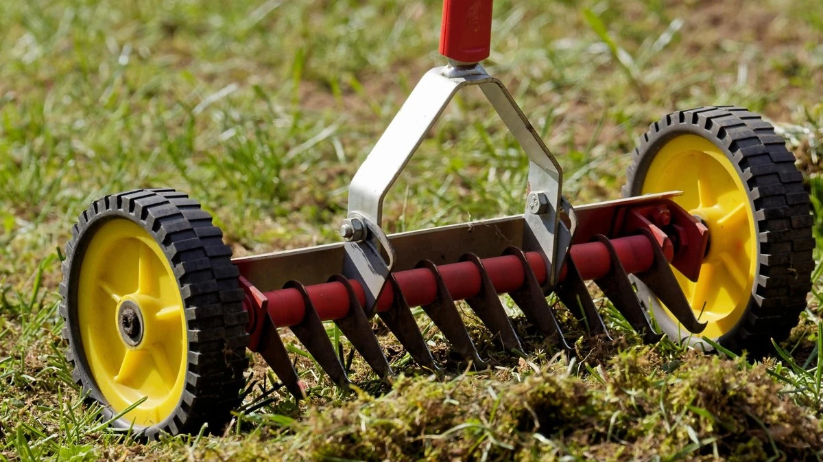 Il momento ideale per scarificare il prato: un trucco da giardiniere esperto