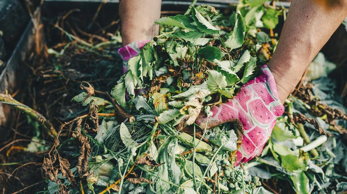 La rivelazione su come trasformare gli scarti in oro: pochi sanno questi segreti del compostaggio