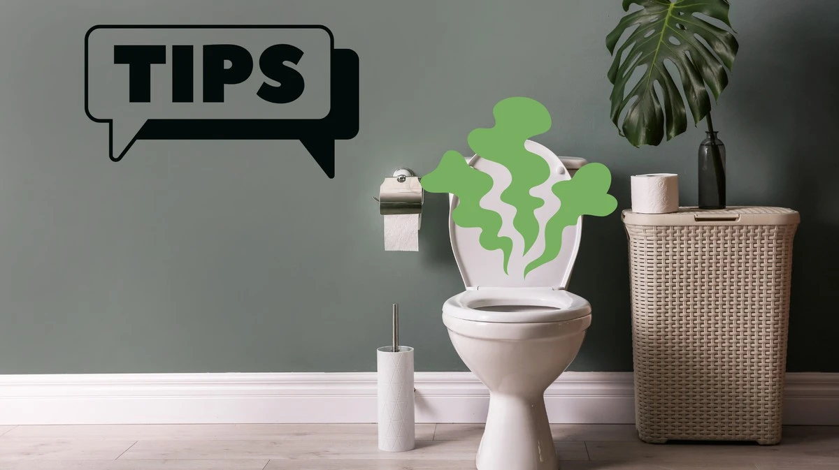 Sbiancare il wc: un rimedio casalingo efficace contro i cattivi odori