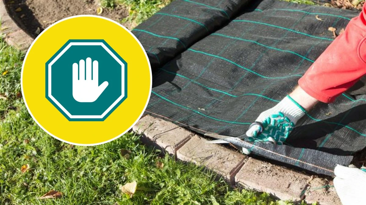 Scopri il segreto dell'orto: come il pacciame rivoluziona il tuo giardino